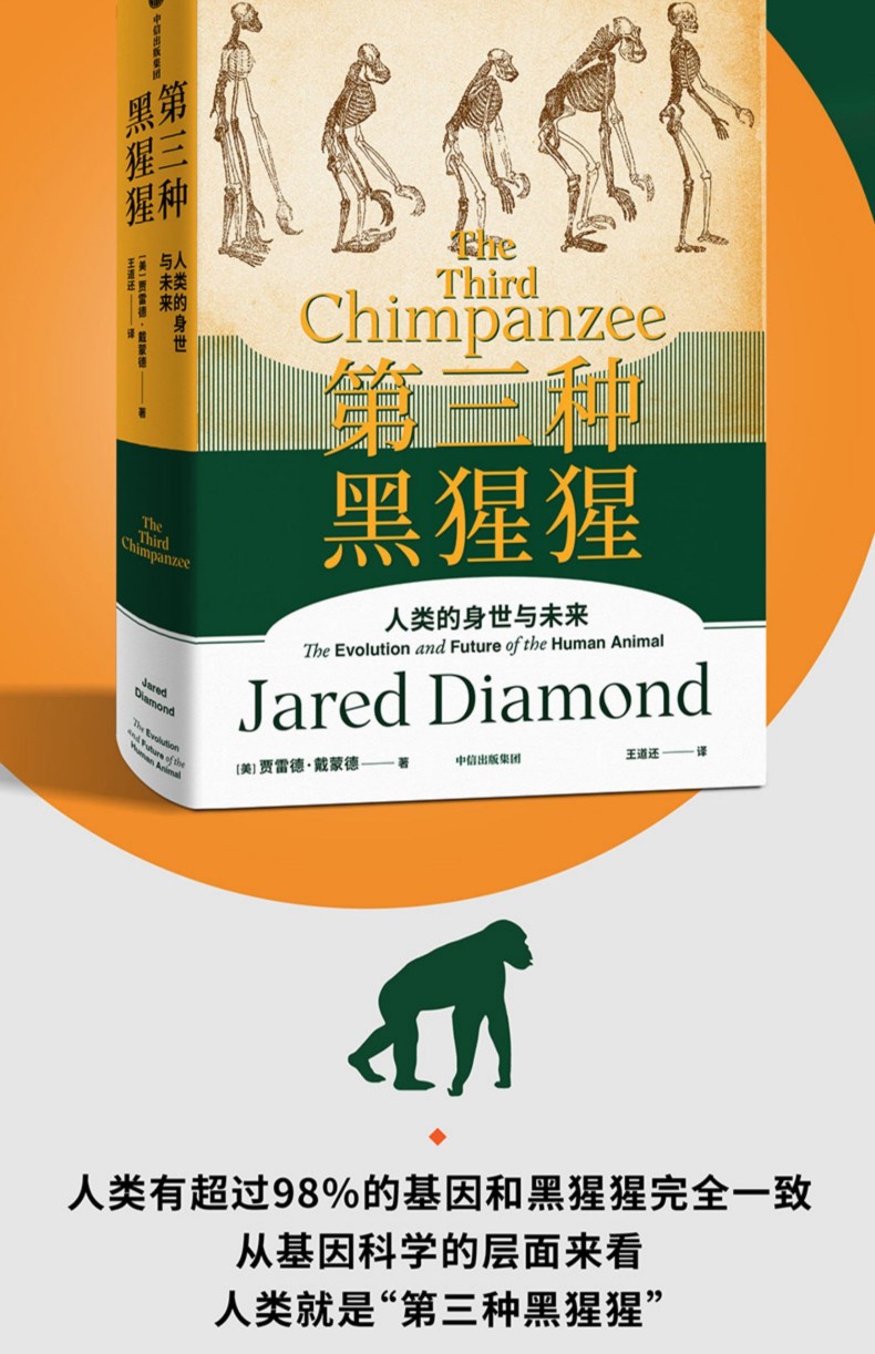 1785048184407904.jpg